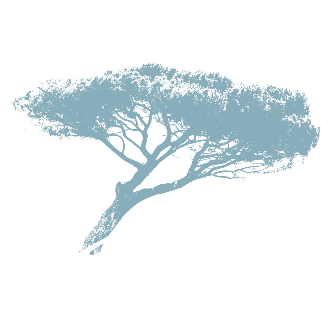 tree-b